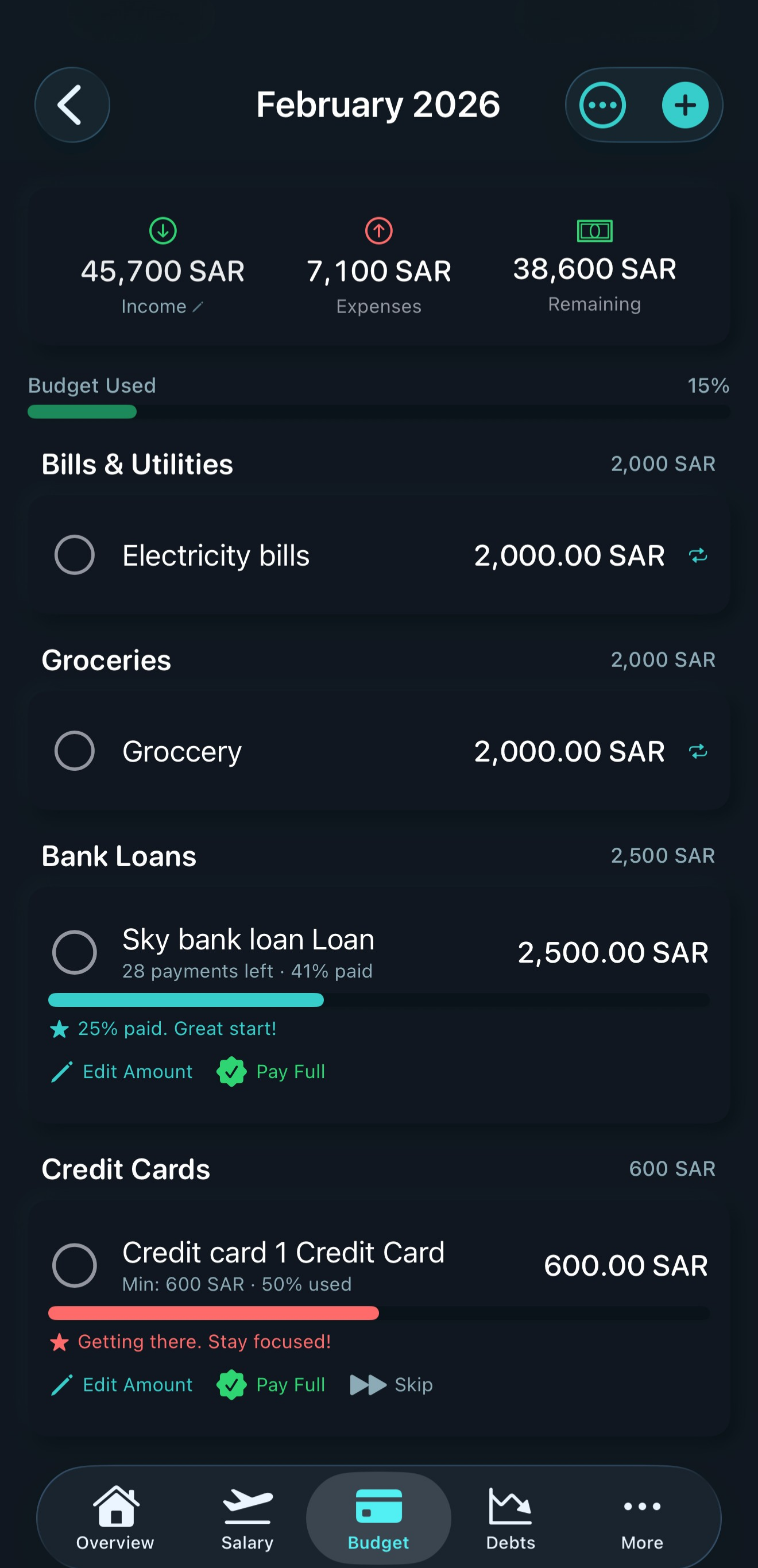 AeroLedger Budget